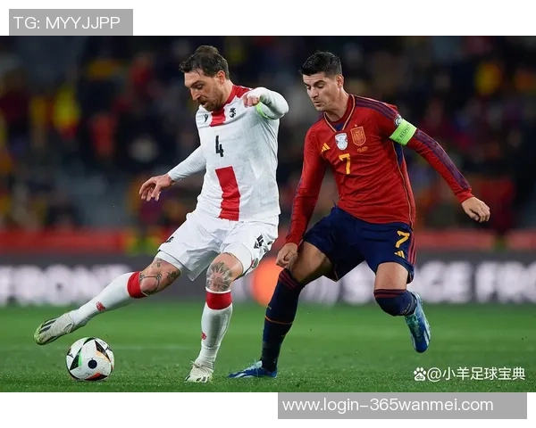 波黑国家足球队最新名单及球员分析与比赛前瞻